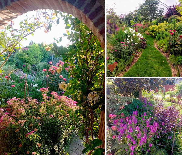Júniusi kertlátogatás Rita kertjében, Sopronban